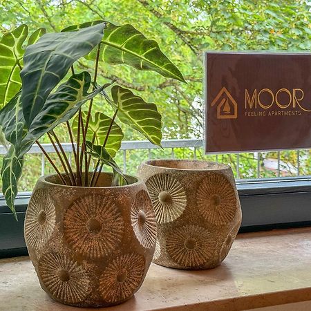 Moor Feeling Apartments Worpswede Εξωτερικό φωτογραφία