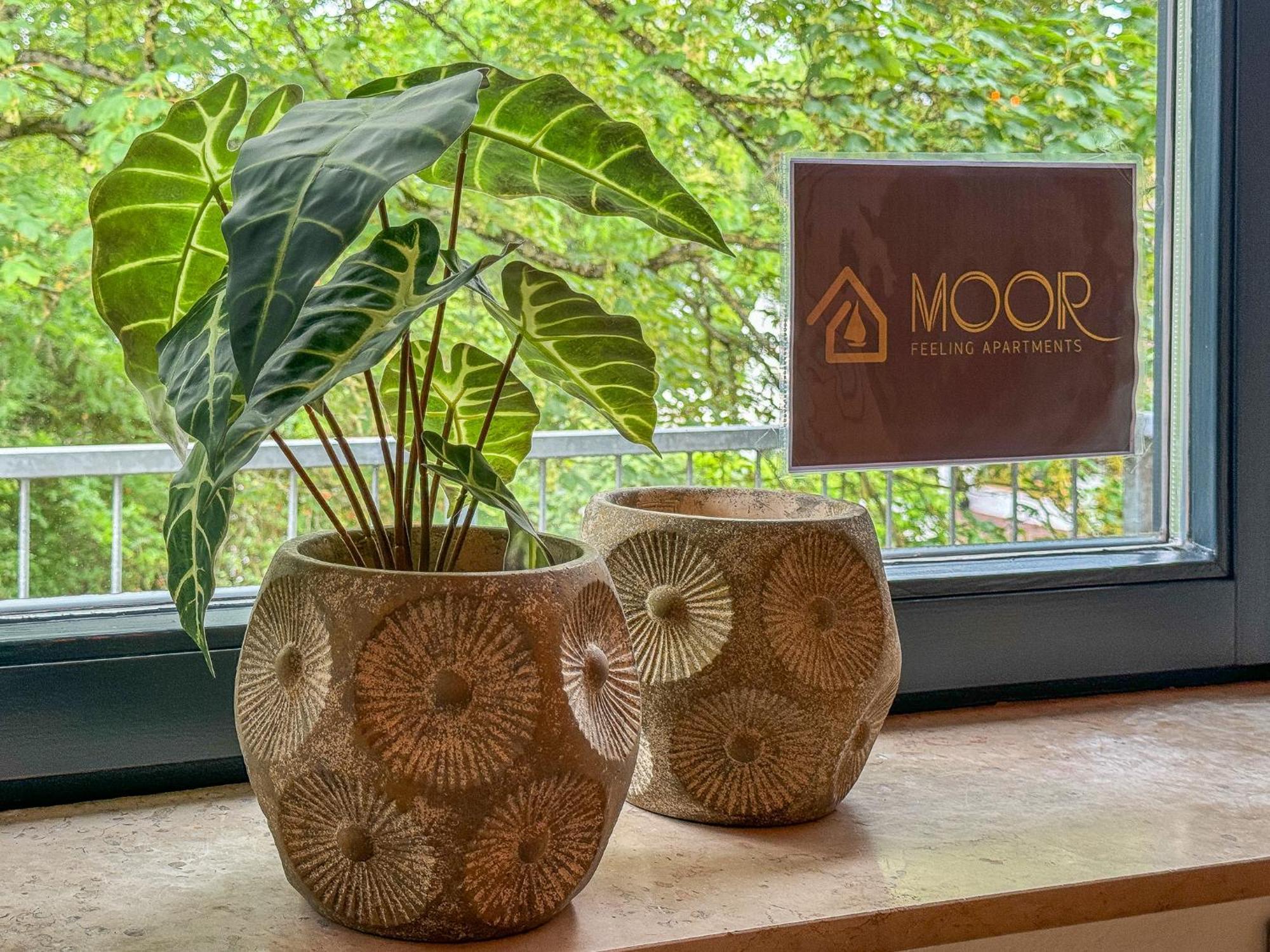 Moor Feeling Apartments Worpswede Εξωτερικό φωτογραφία